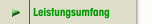 Leistungsumfang